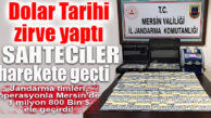 MERSİN’DE TAM 1 MİLYON 800 BİN SAHTE DOLAR ELE GEÇİRİLDİ
