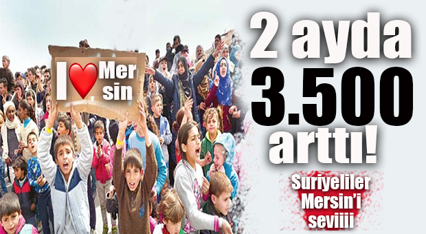 MERSİN’DE YÜKSELİŞ SÜRÜYOR… 2 AYDA TAM 3 BİN 500 ARTTI!