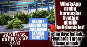 BOZYAZI VE ANAMUR’DA MUZ İŞİ KARIŞTI… REKABET KURUMU ORTAYA ÇIKARDI!