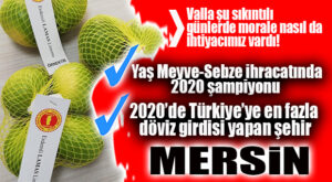 MORAL VEREN HABER: YAŞ MEYVE-SEBZE İHRACATINDA LİDER MERSİN!