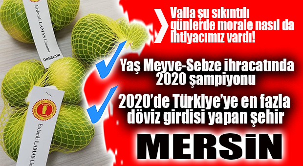 MORAL VEREN HABER: YAŞ MEYVE-SEBZE İHRACATINDA LİDER MERSİN!