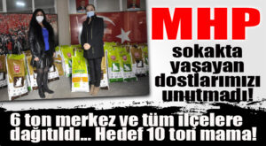 MHP İL BAŞKANLIĞI SOKAK HAYVANLARINI UNUTMADI… TÜM İLÇELERE MAMA DESTEĞİ