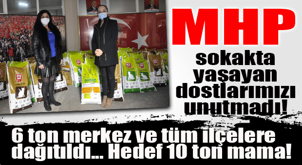 MHP İL BAŞKANLIĞI SOKAK HAYVANLARINI UNUTMADI… TÜM İLÇELERE MAMA DESTEĞİ