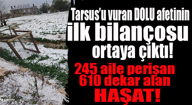 TARSUS’U VURAN DOLUNUN HASAR BİLANÇOSU: 245 ÇİFTÇİ AİLESİ MAĞDUR, 610 DEKAR ALAN HAŞAT!