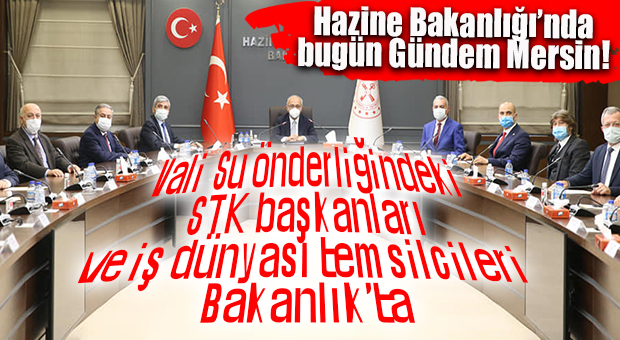 VALİ SU ÖNDERLİĞİNDEKİ MERSİN HEYETİ BAKAN ELVAN İLE GÖRÜŞTÜ