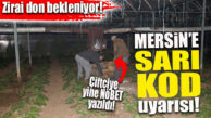 MERSİN İÇİN SARI KOD UYARISI: ZİRAİ DONA DİKKAT!