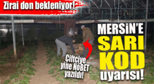 MERSİN İÇİN SARI KOD UYARISI: ZİRAİ DONA DİKKAT!