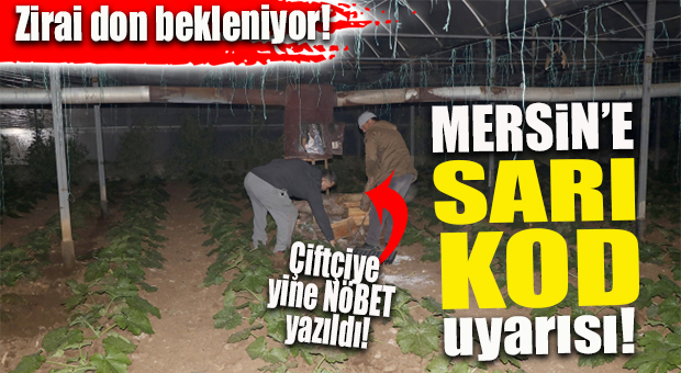 MERSİN İÇİN SARI KOD UYARISI: ZİRAİ DONA DİKKAT!