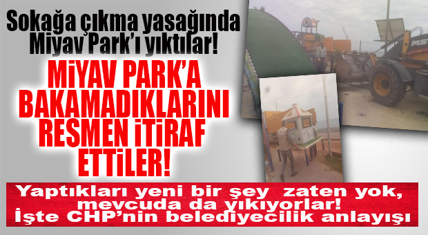 İŞTE SEÇER YÖNETİMİNİN ÖZETİ: SOKAK HAYVANLARINA BİLE BAKAMADILAR… “BAKAMADIK, YIKTIK!”