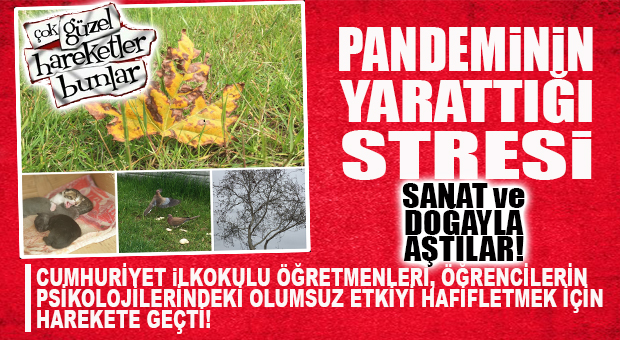 PANDEMİNİN OLUMSUZ ETKİLERİNİ SANAT VE DOĞAYLA AŞTILAR