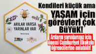 DÜNYANIN DEVAMI İÇİN BÜYÜK GÖREV ÜSTLENEN KÜÇÜK ARILARIN ÖNEMİ ÖĞRENCİLERE ANLATILDI