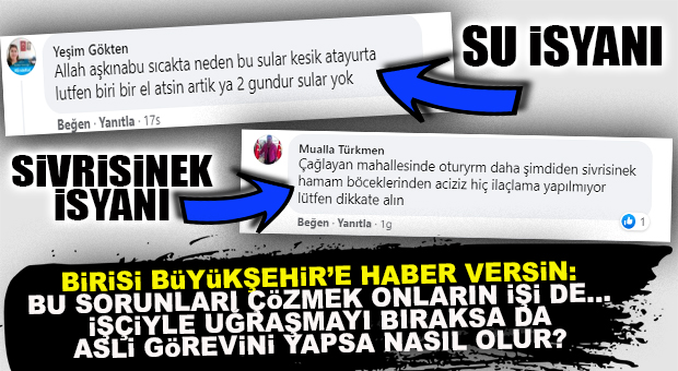 HAVALAR ISINDI; SU VE SİVRİSİNEK SORUNU VATANDAŞI İSYAN ETTİRMEYE BAŞLADI! BÜYÜKŞEHİR’E MESAJ YAĞDI!