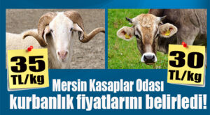 MERSİN KASAPLAR ODASI KURBANLIKLARIN FİYATLARINI AÇIKLADI!