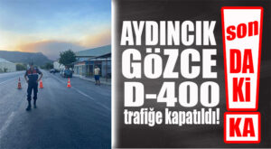 SON DAKİKA… AYDINCIK-GÖZCE ARASI D-400 TRAFİĞE KAPATILDI