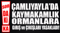 FLAŞ…FLAŞ…FLAŞ… ÇAMLIYAYLA’DA ORMANLARA GİRİŞ YASAKLANDI