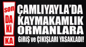 FLAŞ…FLAŞ…FLAŞ… ÇAMLIYAYLA’DA ORMANLARA GİRİŞ YASAKLANDI