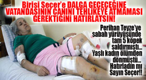 BU SEÇER’İN İLK İHMALİ DEĞİL! ŞUBAT AYINDA BAŞIBOŞ KÖPEKLER YAŞLI KADINI HASTANELİK ETMİŞTİ