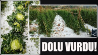 SİLİFKE VE ERDEMLİ YAYLALARINI DOLU VURDU!