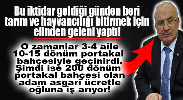 BURHANETTİN KOCAMAZ: “BU İKTİDAR GELDİĞİ GÜNDEN BERİ TARIM VE HAYVANCILIĞI BİTİRMEK İÇİN ELİNDEN NE GELİRSE YAPTI”