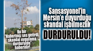 MAALESEF BİZ DEMİŞTİK: 34. CADDE REZALETİ DURDURULDU! OLAN KURUYAN ONCA AĞACA OLDU!