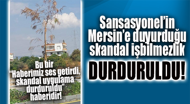 MAALESEF BİZ DEMİŞTİK: 34. CADDE REZALETİ DURDURULDU! OLAN KURUYAN ONCA AĞACA OLDU!