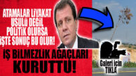 BÜYÜKŞEHİR PARK BAHÇELERDE 34. CADDE REZALETİ… İŞ BİLMEZLİK AĞAÇLARI KURUTTU!