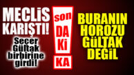 FLAŞ…FLAŞ…FLAŞ… SEÇER’DEN CUMHUR’A: “BURANIN HOROZU GÜLTAK DEĞİL!”