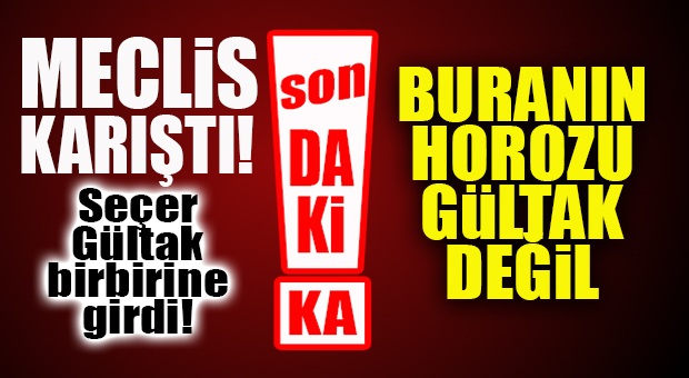 FLAŞ…FLAŞ…FLAŞ… SEÇER’DEN CUMHUR’A: “BURANIN HOROZU GÜLTAK DEĞİL!”