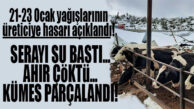 21-23 OCAK KAR YAĞIŞININ ÇİFTÇİYE NE HASAR VERDİĞİ AÇIKLANDI!