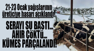 21-23 OCAK KAR YAĞIŞININ ÇİFTÇİYE NE HASAR VERDİĞİ AÇIKLANDI!