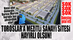 HAYIRLI OLSUN TOROSLAR: DANIŞTAY, MEZİTLİ SANAYİ SİTESİ İÇİN ACELE KAMULAŞTIRMA KARARINI İPTAL ETTİ!
