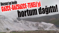 BOZYAZI’YI HORTUM VE KASIRGA VURDU… SERALAR PARÇALANDI