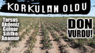 AŞIRI SOĞUKLAR YÜZÜNDEN KORKULAN OLDU: 5 İLÇEYİ DON VURDU
