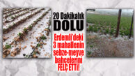 ERDEMLİ’Yİ DOLU VURDU… AÇIK SEBZELERDE HASAR BÜYÜK!