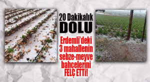 ERDEMLİ’Yİ DOLU VURDU… AÇIK SEBZELERDE HASAR BÜYÜK!