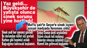 MUT’TA ŞAİR BİLE BÜYÜKŞEHİR’E İSYAN ETTİ, SOSYAL MEDYADA FENOMEN OLDU: “SİNEK YEDİ HER YANIMIZ GAVLADI”