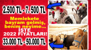 MERSİN’DE KURBANLIK FİYATLARI GEÇEN SENEYİ KATLADI! İŞTE SON FİYATLAR: