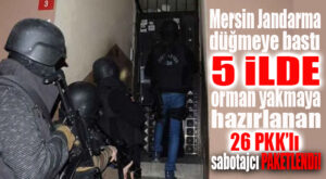 MERSİN’DEN PKK’NIN “ORMAN YANGINI ÇIKARMA KOLUNA” DARBE: 26 KİŞİ YAKALANDI