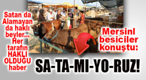 MERSİNLİ BESİCİLER DERTLİ: “KURBAN SATILMIYOR!”