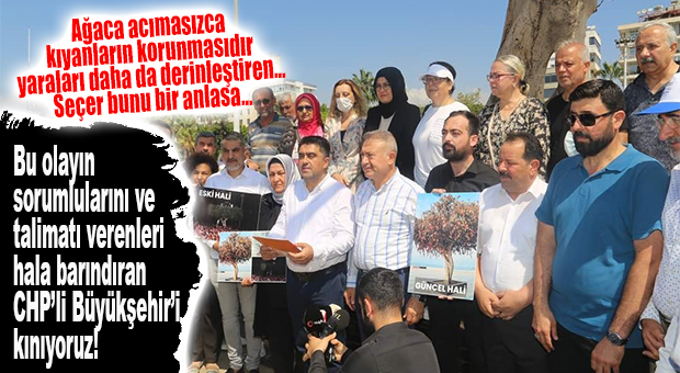 AK PARTİ, AĞAÇ SABOTAJI ÜZERİNDEN SAYDIRDI: “GERÇEKLEŞTİRMİŞ OLDUĞUNUZ BU ÇİRKİNLİĞİN MANTIKLI HİÇBİR AÇIKLAMASI OLAMAZ, KINIYORUZ!