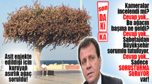 SON DAKİKA… SEÇER SALDIRIYA UĞRAYAN ASIRLIK AĞAÇ HAKKINDA KONUŞTU: “SORUŞTURMA SÜRÜYOR!”