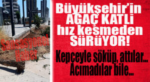 BÜYÜKŞEHİR’DEN YENİ KIYIM 3. ÇEVREYOLUNDA: YOLU GENİŞLETECEĞİZ DİYE ACIMADAN AĞAÇLARI SÖKÜP, ATTILAR!