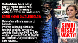 İŞTE GÖZALTINDAKİ HDP’LİLER BUNLARA HESAP VERİYOR: MOLOTOFLU SALDIRIDA PARMAK İZİ Mİ ARARSIN, MECLİS’TE PKK’YI ÖVEN Mİ… YOK YOK!