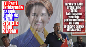 TARSUS’TA ÜZÜM ÜRETİCİSİNE “SUMA” ŞOKUNUN ARDINDAN İYİ PARTİ, ÜRETİCİYE KOŞTU: “ÜZÜM, BİZİM İKTİDARIMIZDA STRATEJİK ÜRÜN OLACAK!”