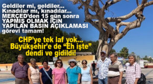 MERÇED’DEN SUYA SABUNA DOKUNMADAN AĞAÇ KATLİAMI AÇIKLAMASI: “SORUMLULAR CEZALANDIRILSIN!”İYİ Kİ BUNU DİYEBİLDİLER, ŞÜKÜR!