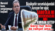 GÜNÜN SORUSU: MERSİN’DE KURUYAN HER AĞAÇ SABOTAJA MI BECERİKSİZLİĞE Mİ KURBAN GİTTİ?