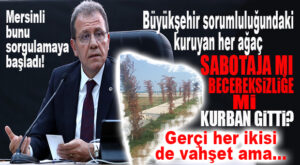 GÜNÜN SORUSU: MERSİN’DE KURUYAN HER AĞAÇ SABOTAJA MI BECERİKSİZLİĞE Mİ KURBAN GİTTİ?