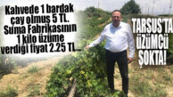 TARSUS’TA ÜZÜM FİYATI ŞOKU! SUMA FABRİKASININ AÇIKLADIĞI FİYATA ÜRETİCİLERDEN TEPKİ: “BU LAKAYTLIKTIR!”