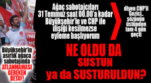 MERSİNLİ GEZİCİLERİN SÖZÜNÜN ÜSTÜNDEN TAM 4 GÜN GEÇTİ, HALA TIK YOK: DEMEK Kİ MESELE GERÇEKTEN AĞAÇ DEĞİLMİŞ!