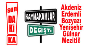 KAYMAKAMLIK KARARNAMESİ YAYINLANDI: 6 İLÇEYE YENİ KAYMAKAM